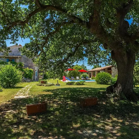 Negrin Hébergement de vacances